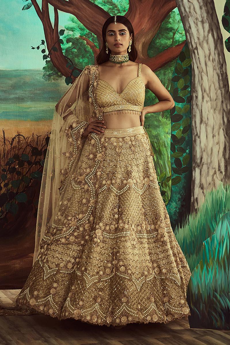 Gold Trail Lehenga Set