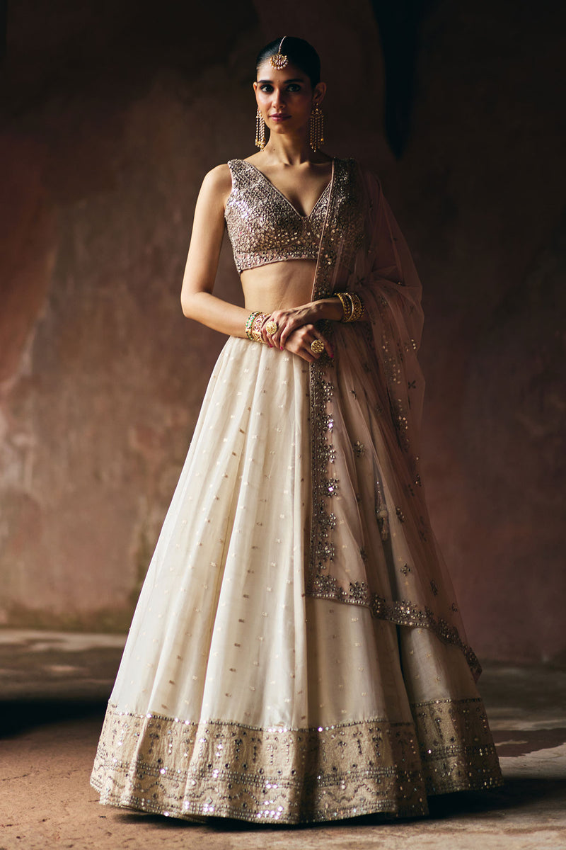 Gold Tissue Lehenga Set
