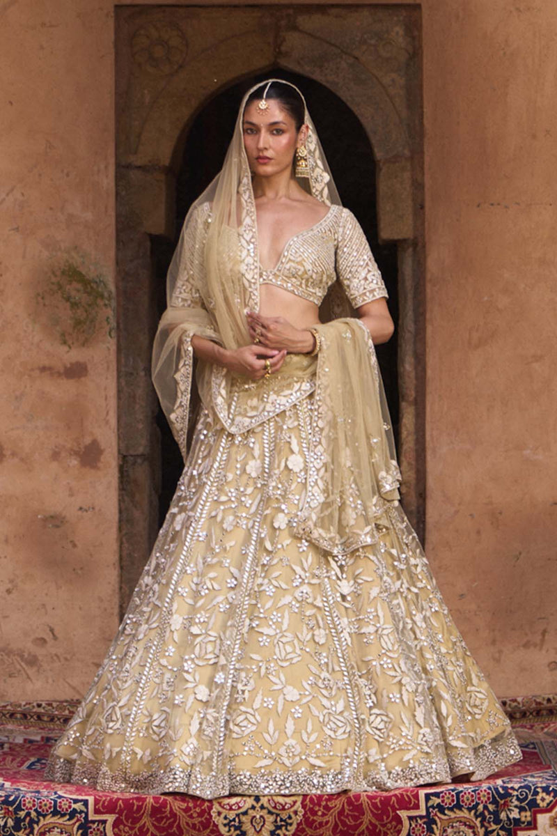 BASANT —  Golden Beige Net Lehenga Set