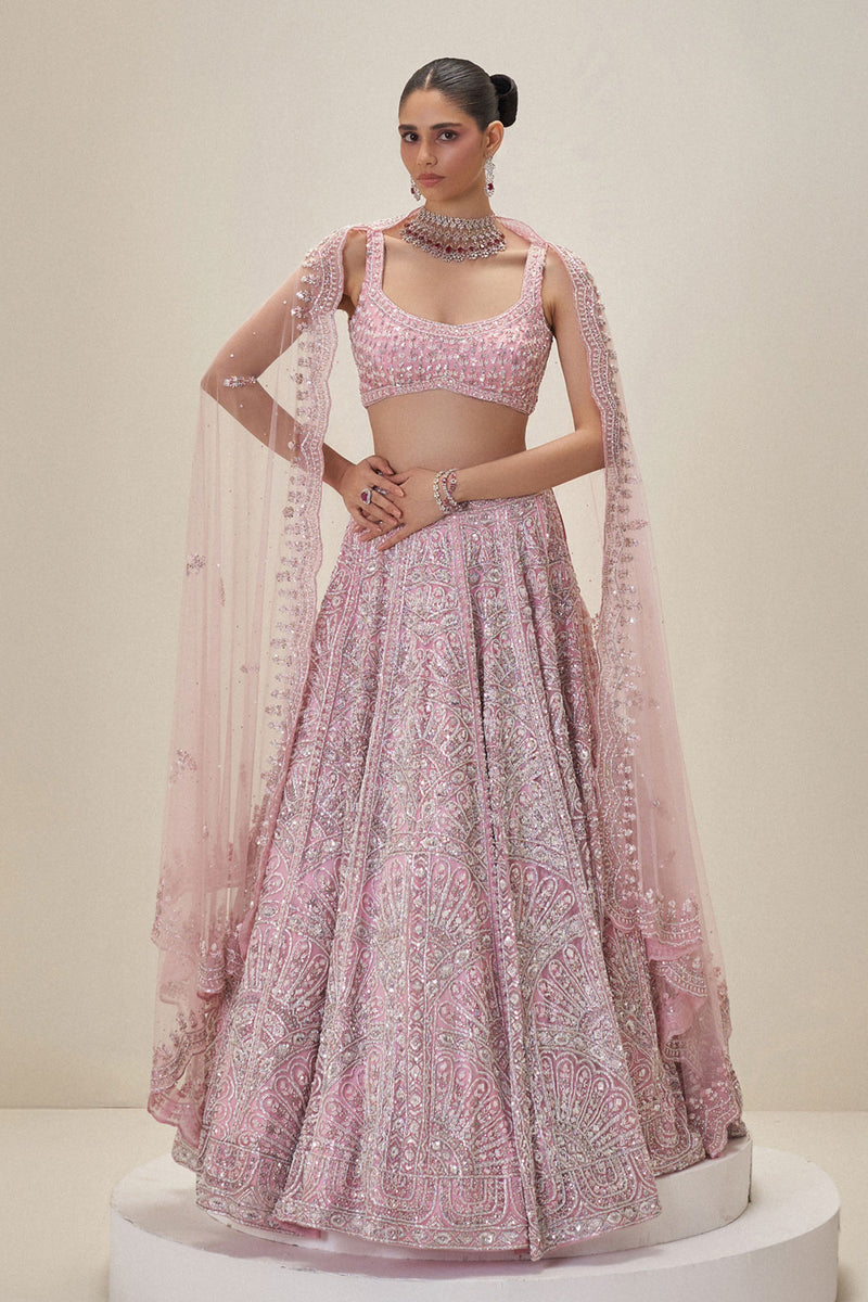 Blush Reverie Lehenga set
