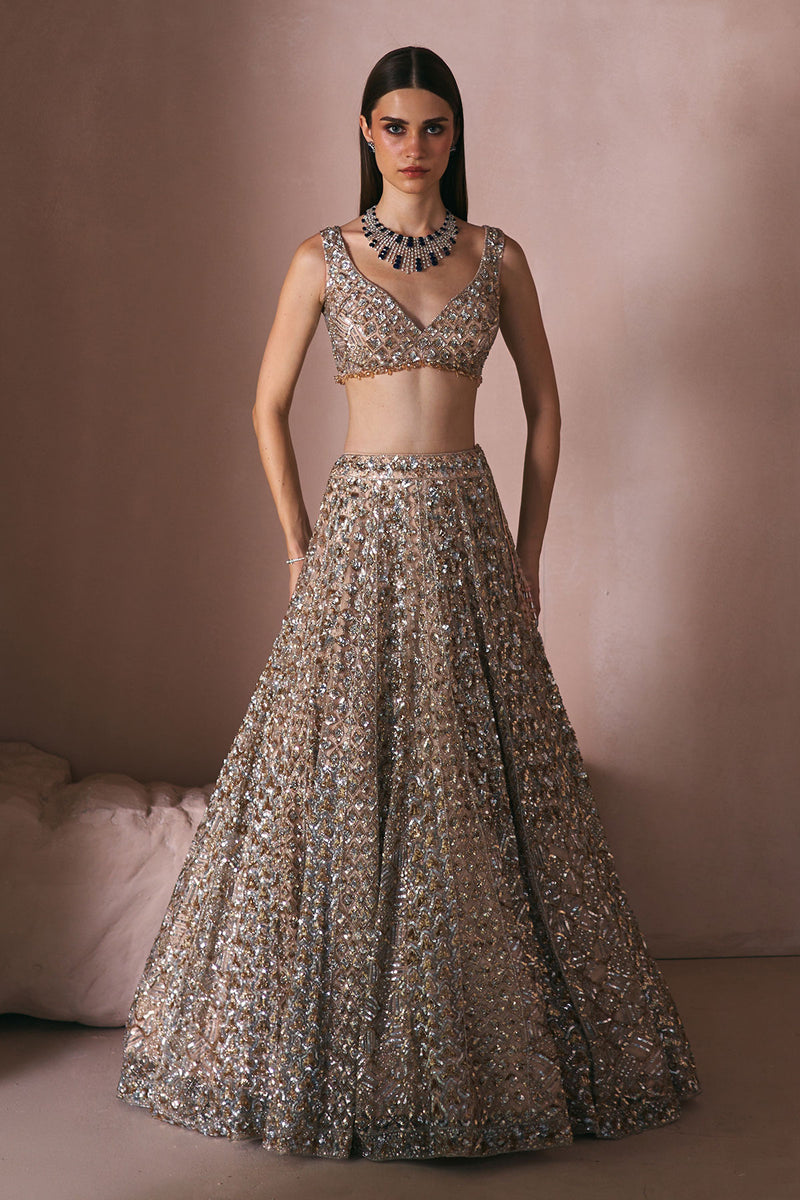 Champage Stardust Lehenga Set
